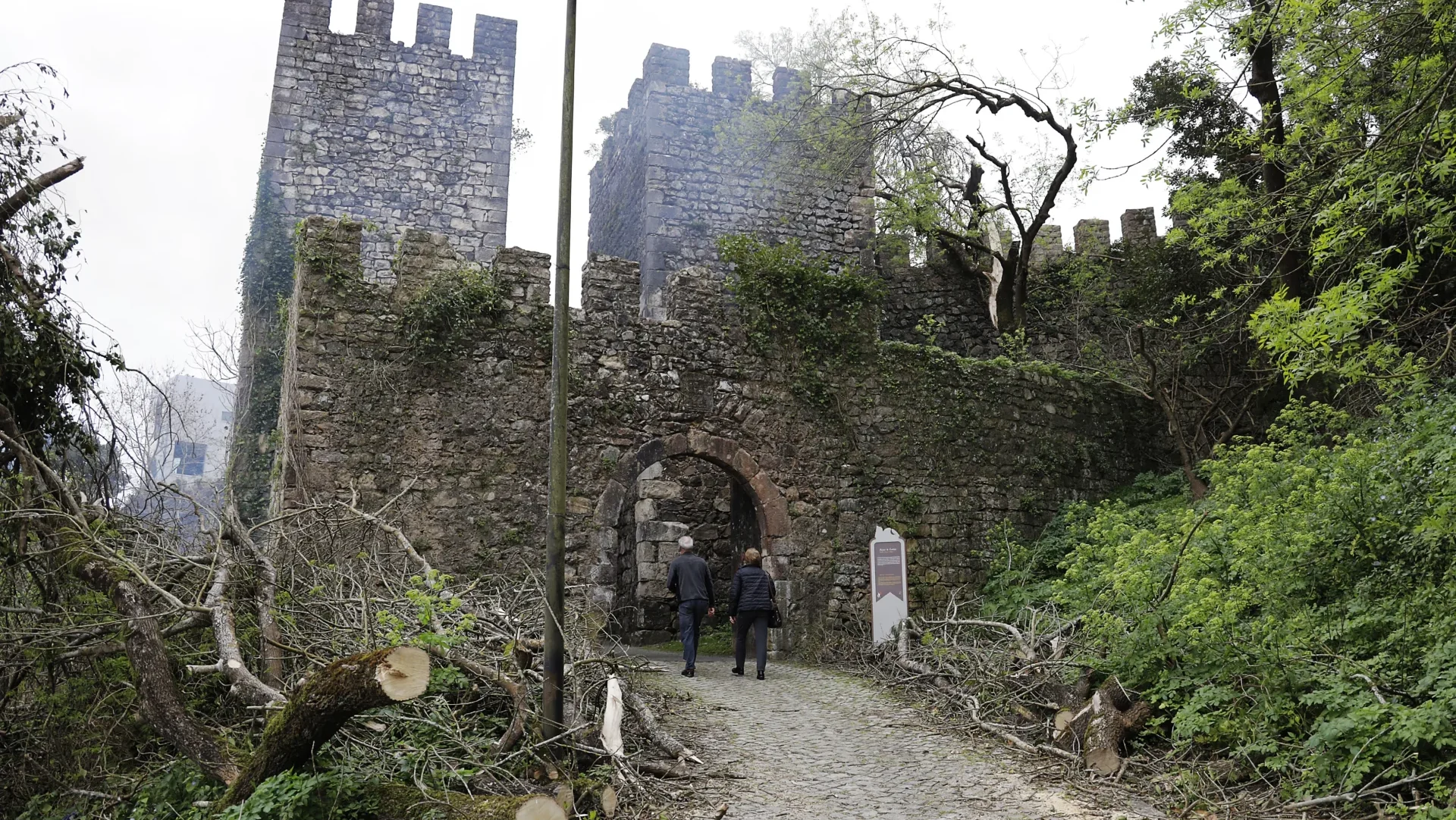 P4 Castelo De Leiria Depressão Kristin Lfc