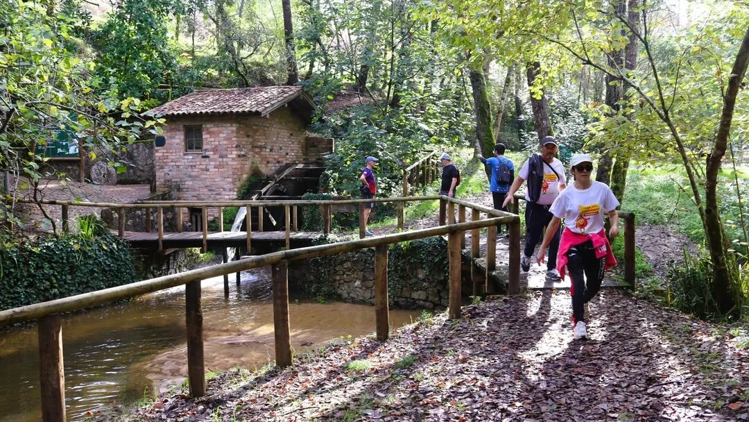 Rede De Percursos Pedestres Cml
