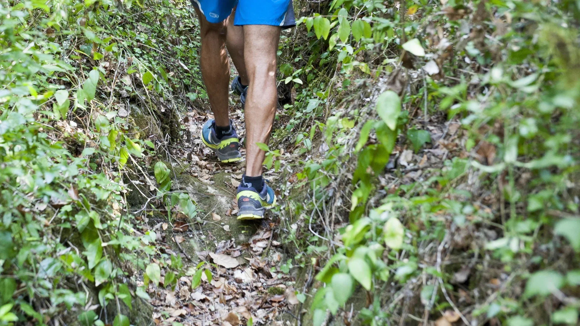Trail
