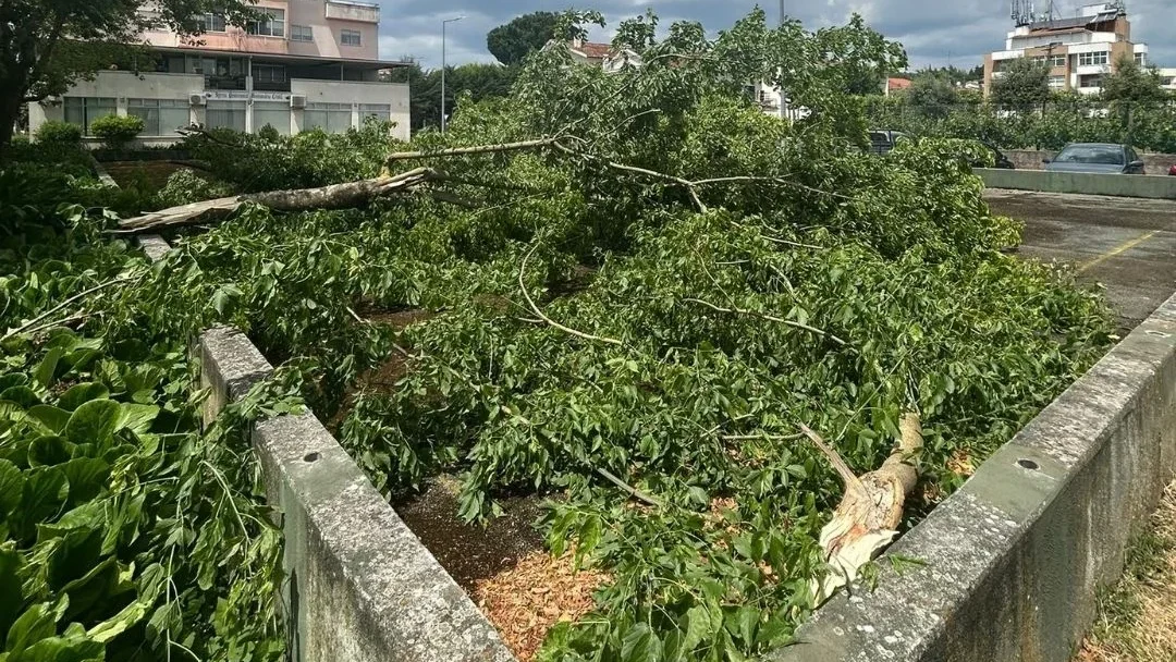 Estragos Mau Tempo Diário De Viseu