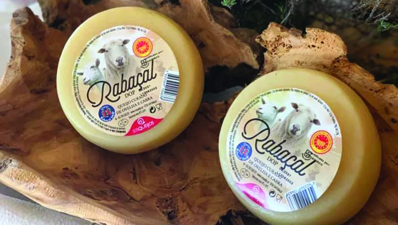 P19 Queijo Rabaçal Dr