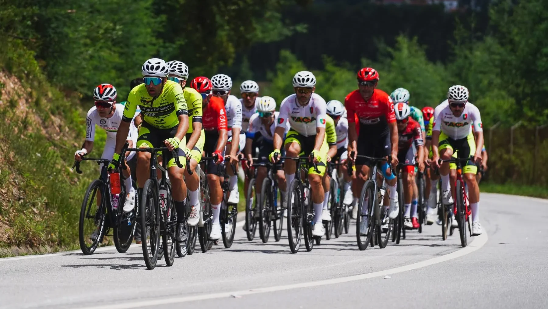 P20 Ciclismo Ribafria