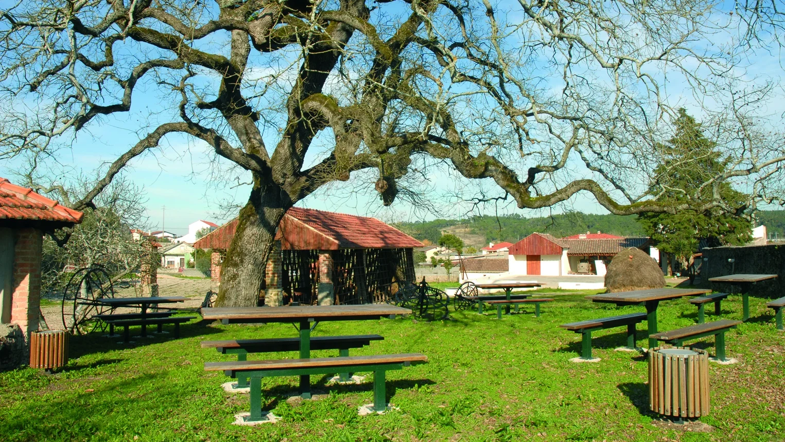 P3 Agromuseu D Julinha