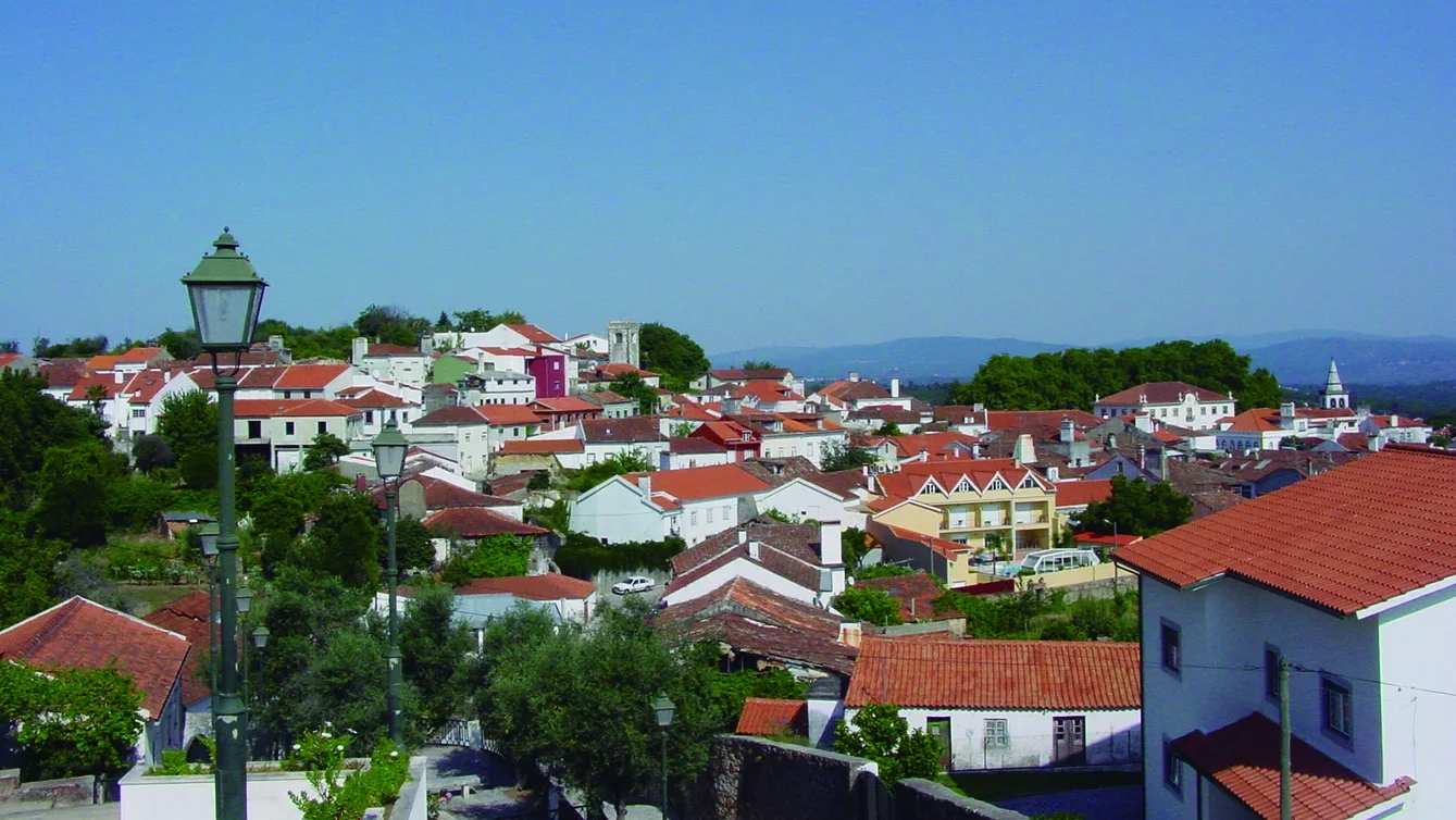 P9 Figueiro Vinhos Cmfv