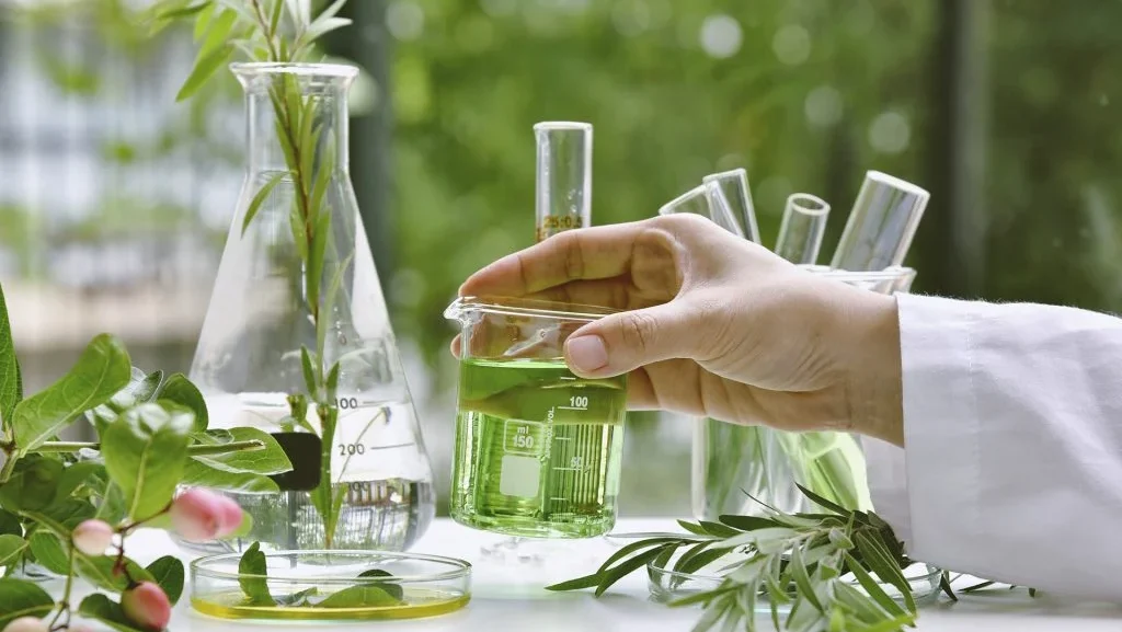 Plantas Medicinais