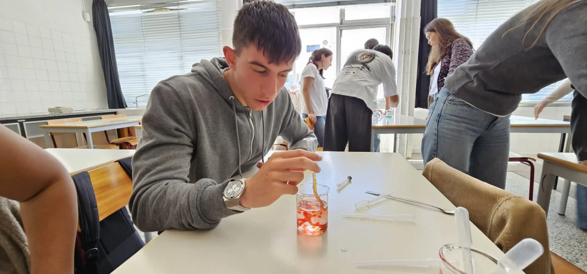 Atividade Científica Na Escola Raul Proença Ipl