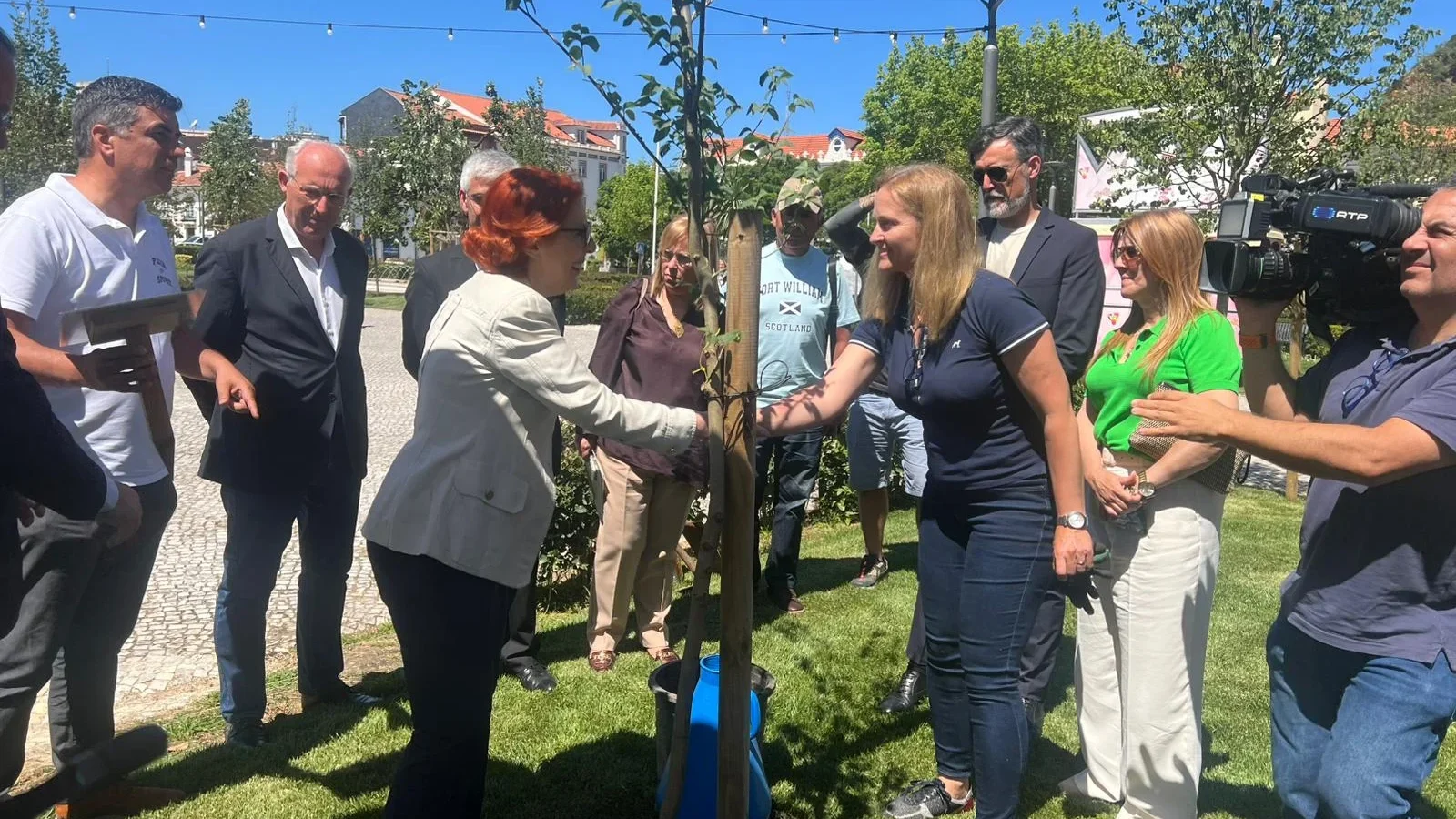 Ministra Ambiente Planta árvore 1