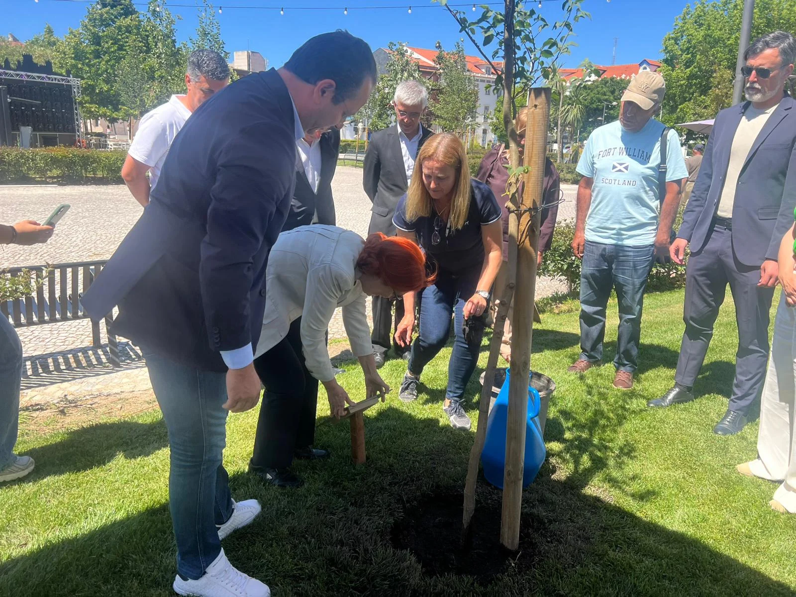 Ministra Ambiente Planta árvore 2