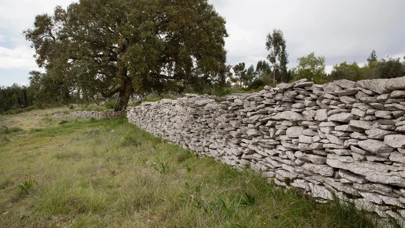 Muros Pedra Seca Terras De Sicó