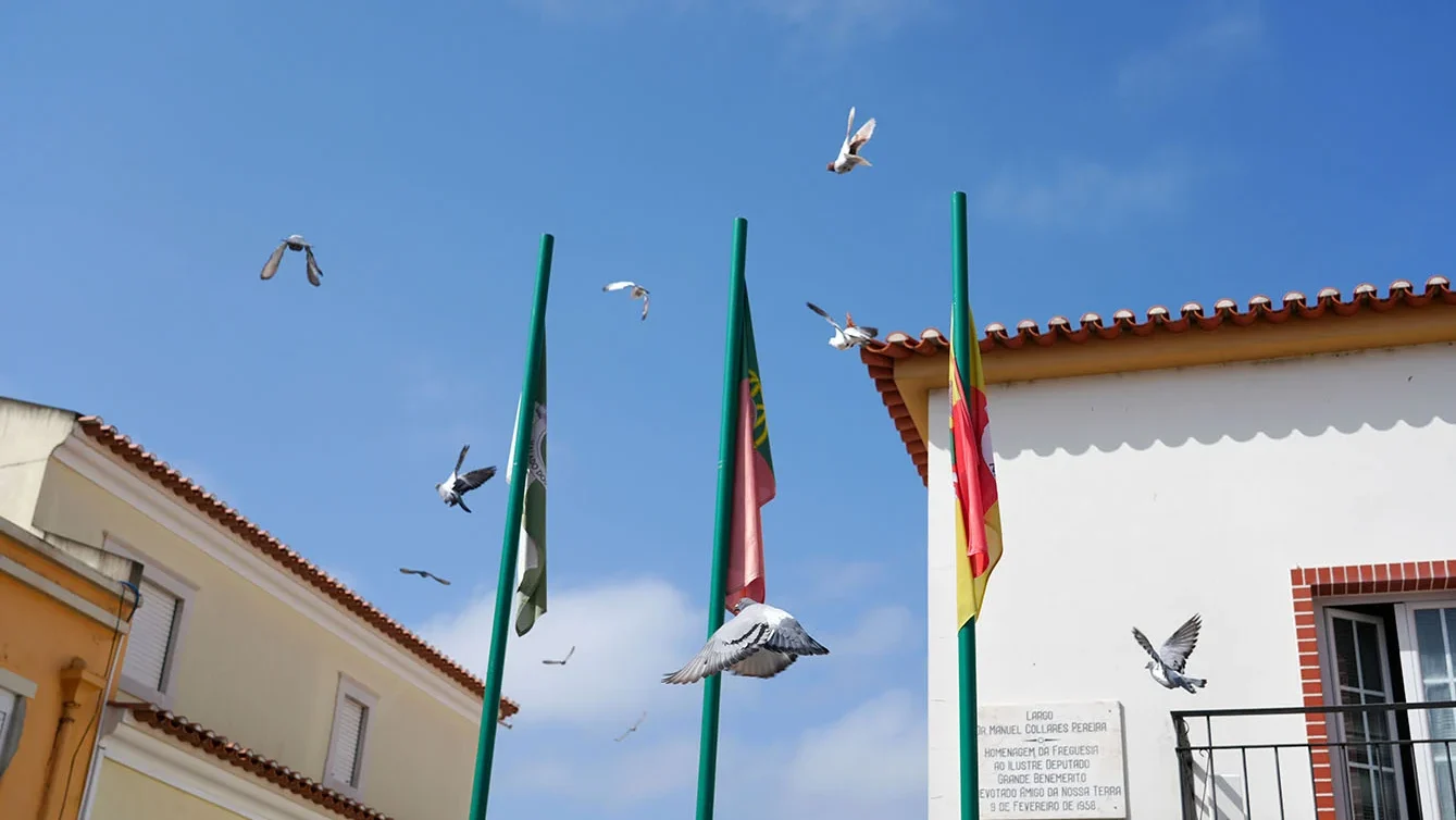 P17 Valado Dos Frades Elevação A Vila Cmn