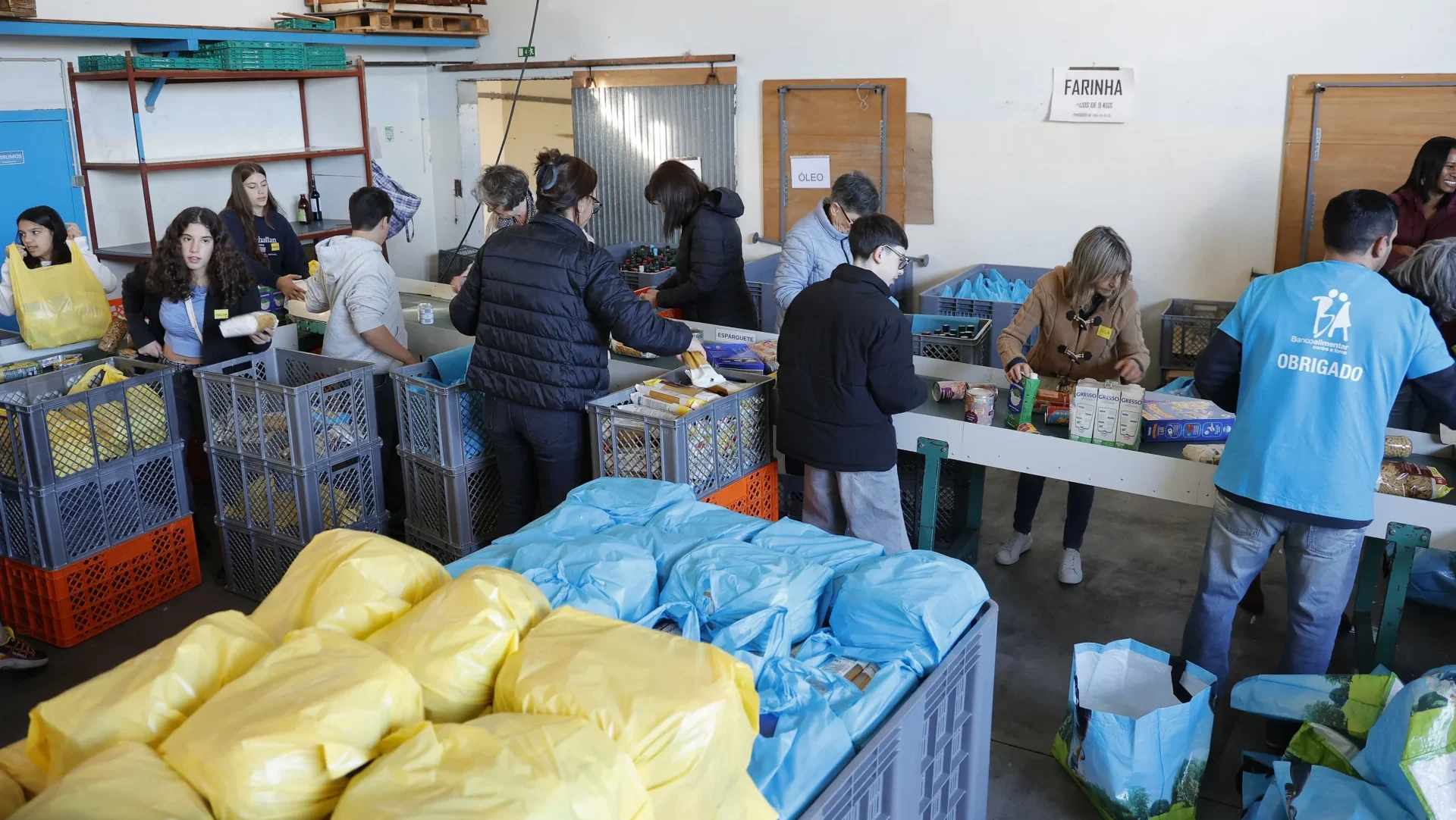 P2 Banco Alimentar Lfc