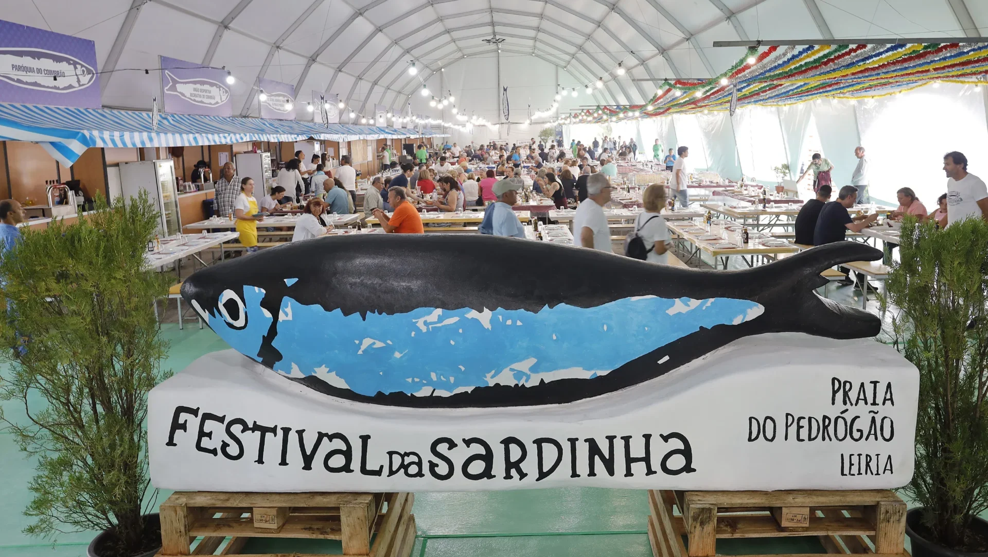 P4 Festival Da Sardinha Praia Pedrogao Lfc
