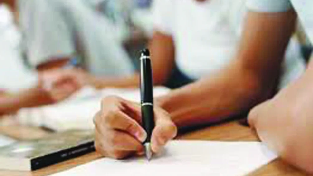P8 Alunos A Estudar Dr