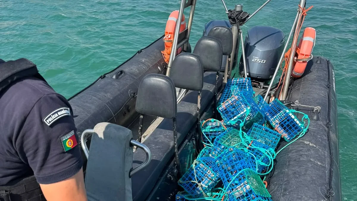 Apreendida Arte De Pesca Em São Martinho Do Porto Amn