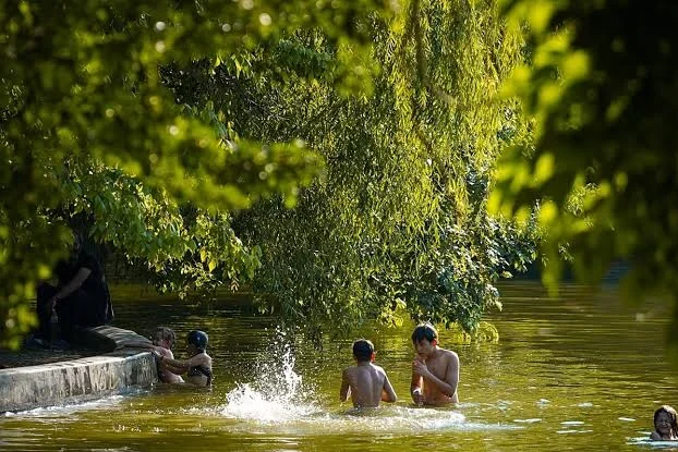 Calor