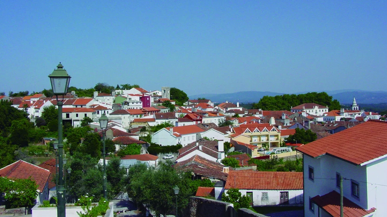 P12 Figueiro Vinhos Vista Generica Cmfv