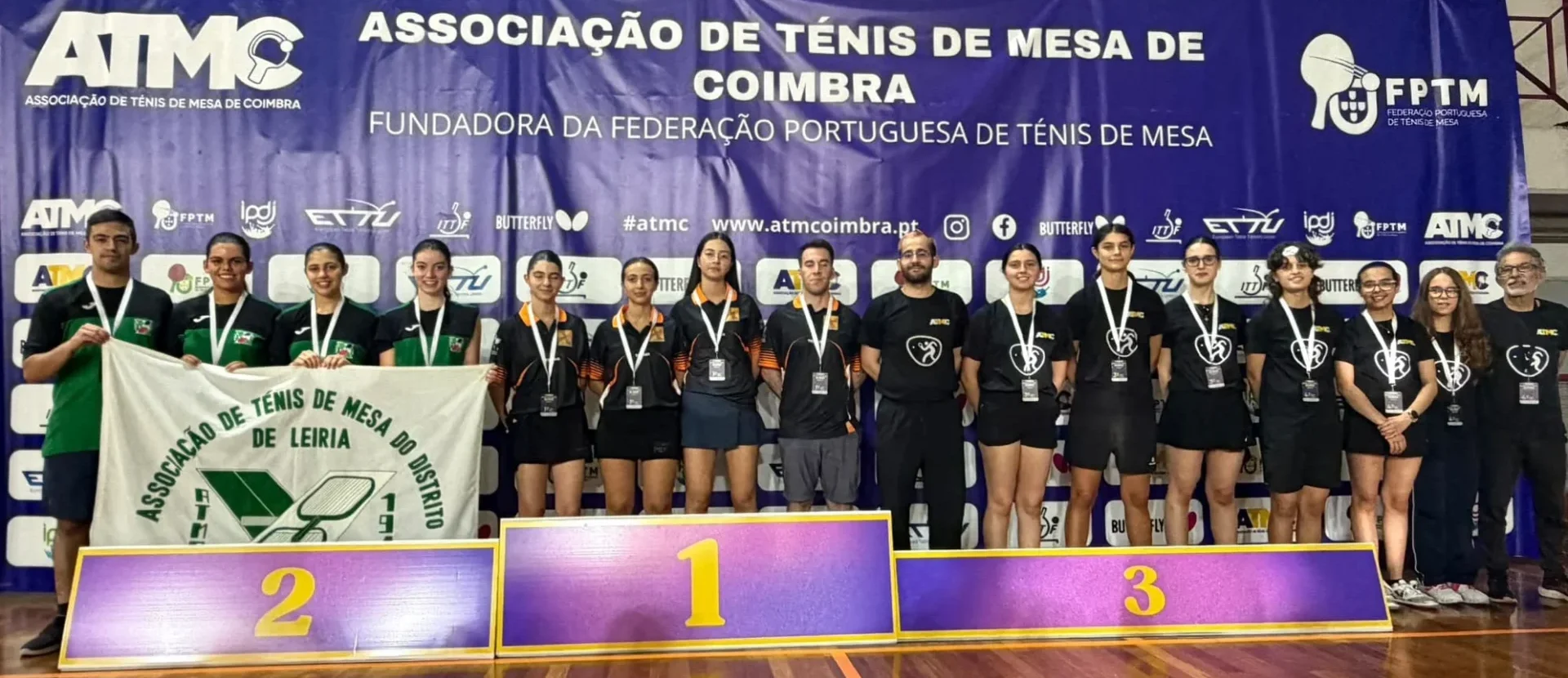 P17 Tenis De Mesa