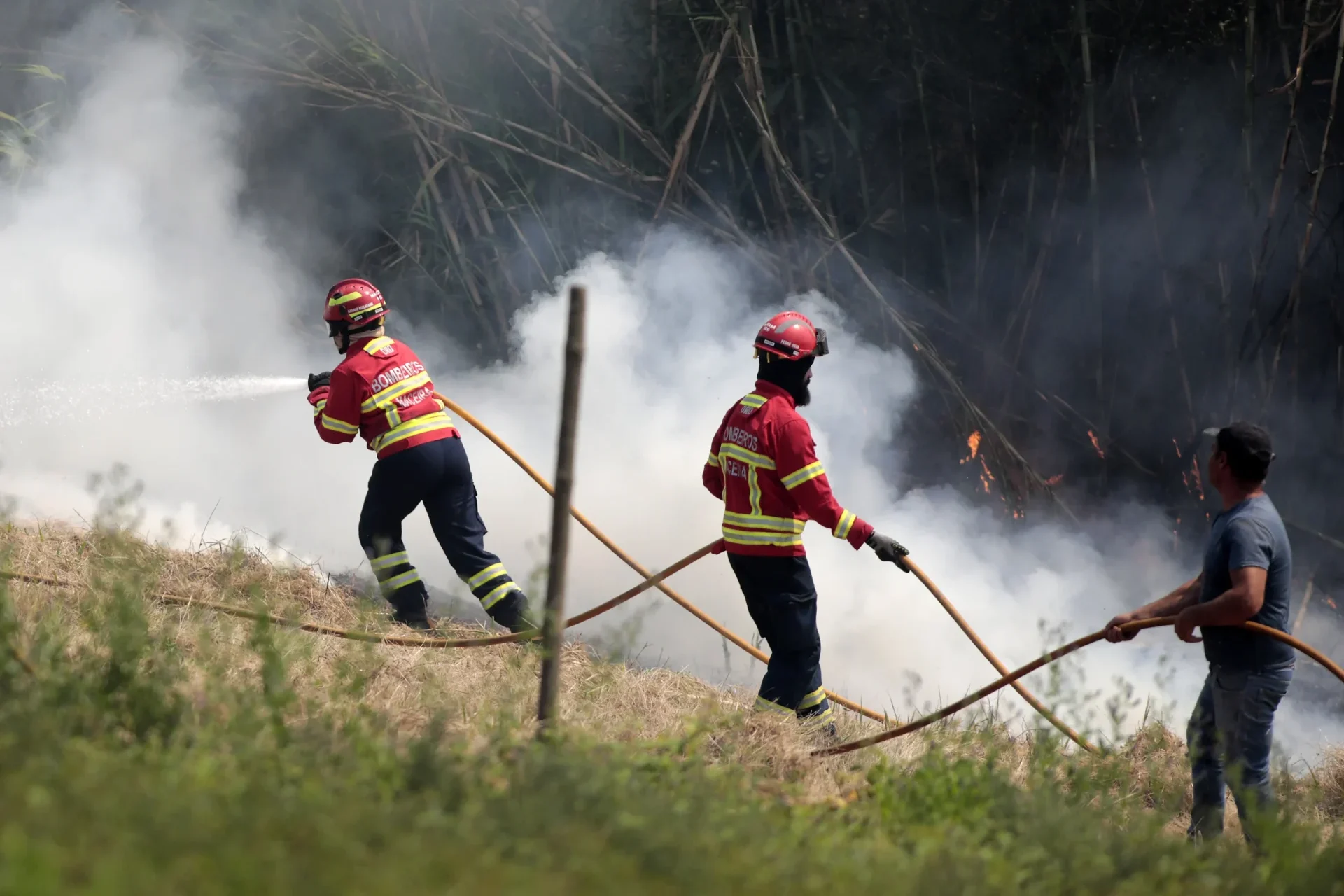 P4 Incendios Lfc