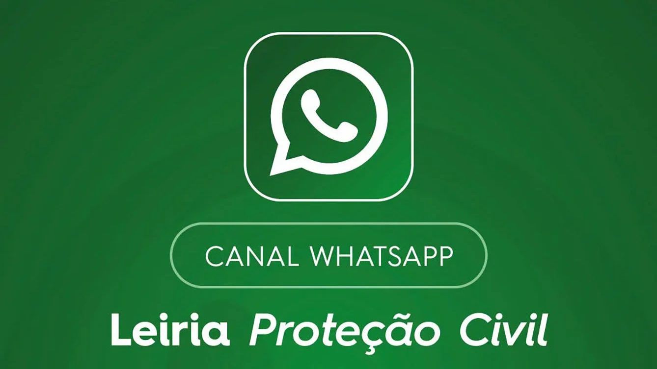 P8 Canal Whatsup