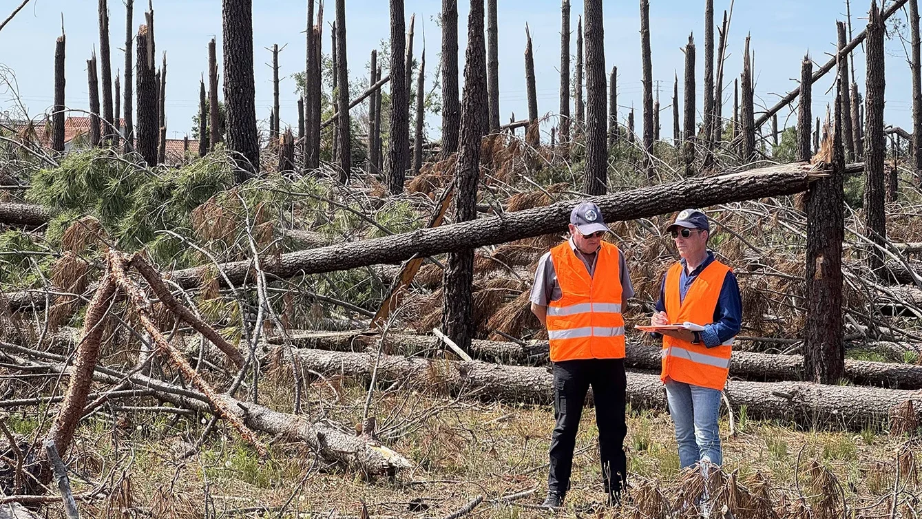 P9 Vigilância Florestal Cmmg